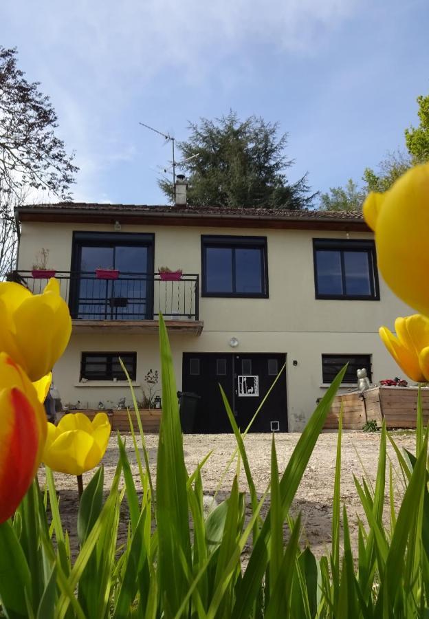 Apartamento Chez Flo et Marc Chouzy-sur-Cisse Exterior foto